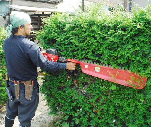 刈り込み剪定