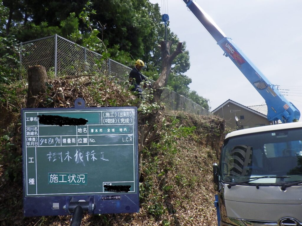 厚木市内　法面樹木伐採